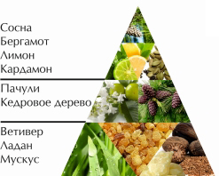 Пирамида