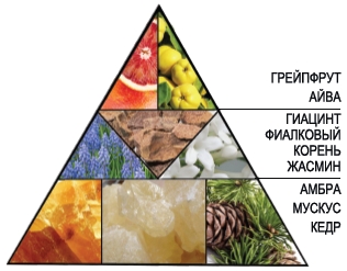 Пирамида